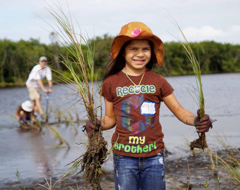 Photo 6 from RESTORE AMERICA'S ESTUARIES